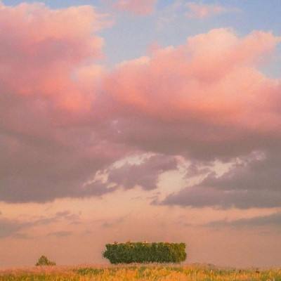 火狐电竞下载手机版截图