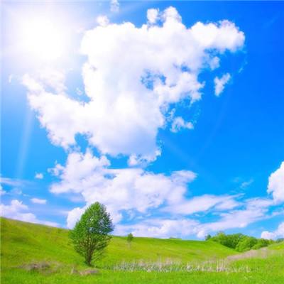 开云登陆-登录入口