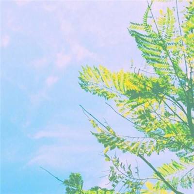 亚洲杯冠亚军竞猜