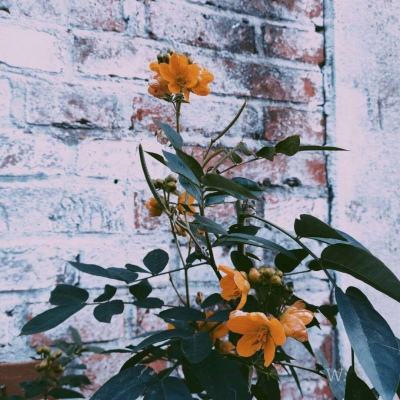 火狐电竞下载手机版截图