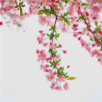 香港2023正版免费资料手机app下载