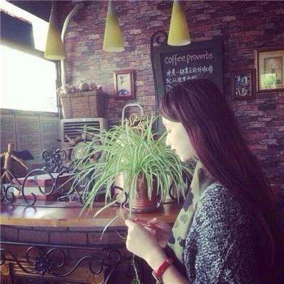 威斯尼斯wns888入口官方版下载